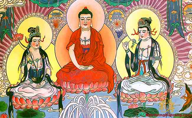 Phật tử nhất định không được bỏ qua Kinh Vô Lượng Thọ trọn bộ